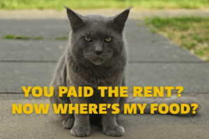 File 00000000198862439f56aa85726fa60b